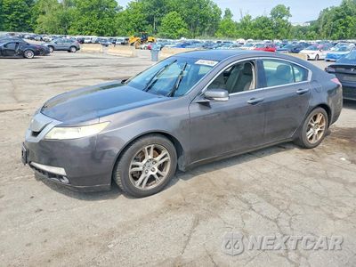 2010 ACURA TL 19UUA8F54AA016473 - główne zdjęcie licytacji z USA - miniatura