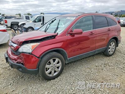 2008 HONDA CR-V EXL JHLRE48798C040110 - główne zdjęcie licytacji z USA - miniatura