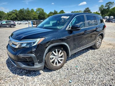 2021 HONDA PILOT EXL 5FNYF5H51MB015225 - główne zdjęcie licytacji z USA - miniatura