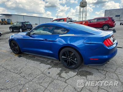 Drugie zdjęcie samochodu z przodu: 2017 FORD MUSTANG VIN:1FA6P8TH5H5208661 - miniatura