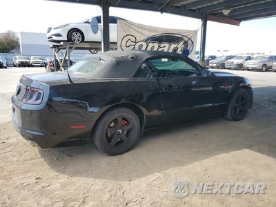 Trzecie zdjęcie samochodu z tyłu: 2013 FORD MUSTANG VIN:1ZVBP8EM1D5203919 - miniatura
