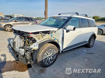 2026 HYUNDAI PALISADE BLUE SEL KM8RL5SA9TU088038 - główne zdjęcie licytacji z USA - miniatura