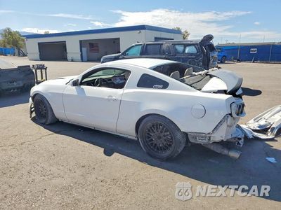 Drugie zdjęcie samochodu z przodu: 2014 FORD MUSTANG GT VIN:1ZVBP8CF5E5219689 - miniatura