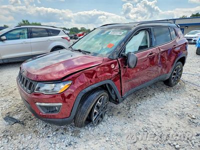 2021 JEEP COMPASS TRAILHAWK 3C4NJDDB5MT593952 - główne zdjęcie licytacji z USA - miniatura