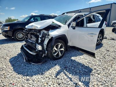 2025 TOYOTA RAV4 SE JTMAB3FV1SD245310 - główne zdjęcie licytacji z USA - miniatura
