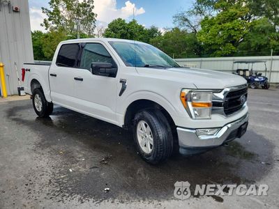 Czwarte zdjęcie samochodu z boku: 2021 FORD F150 SUPERCREW VIN:1FTFW1E52MFA71545 - miniatura