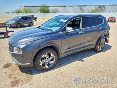 2023 HYUNDAI SANTA FE SEL 5NMS2DAJ1PH546060 - główne zdjęcie licytacji z USA - miniatura
