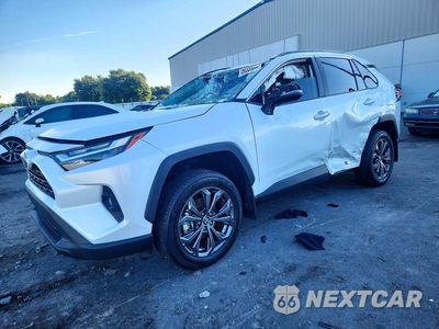 2024 TOYOTA RAV4 XLE PREMIUM 4T3B6RFV1RU162050 - główne zdjęcie licytacji z USA - miniatura
