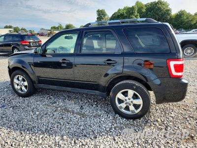 Drugie zdjęcie samochodu z przodu: 2011 FORD ESCAPE LIMITED VIN:1FMCU9EGXBKB57890 - miniatura