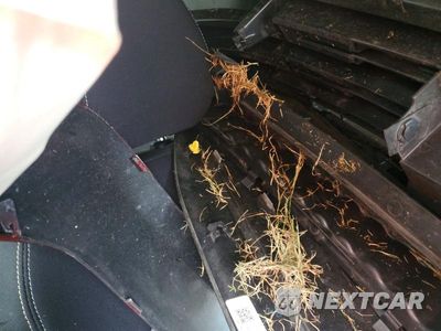 Zdjęcie 10 z 12 samochodu: 2025 NISSAN KICKS SV VIN:3N8AP6CB9SL300971 - miniatura