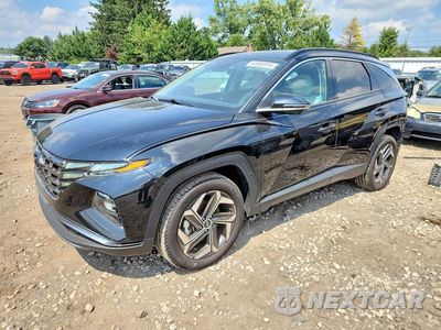 2024 HYUNDAI TUCSON LIMITED 5NMJECDE2RH406291 - główne zdjęcie licytacji z USA - miniatura