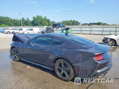 Drugie zdjęcie samochodu z przodu: 2024 FORD MUSTANG VIN:1FA6P8TH6R5145636 - miniatura