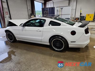 Drugie zdjęcie samochodu z przodu: 2014 FORD MUSTANG VIN:1ZVBP8AM8E5310893 - miniatura