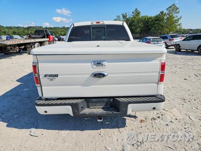 Zdjęcie 6 z 13 samochodu: 2013 FORD F150 SUPERCREW VIN:1FTFW1ET3DFA04936 - miniatura