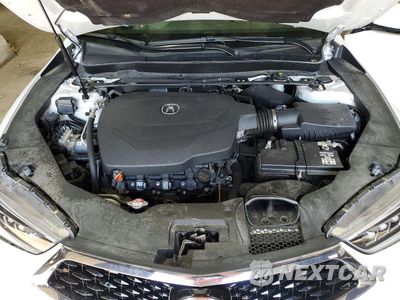 Zdjęcie 11 z 12 samochodu: 2019 ACURA TLX ADVANCE VIN:19UUB3F84KA007056 - miniatura