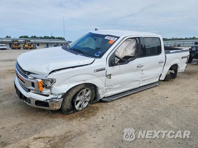 2019 FORD F150 SUPERCREW 1FTEW1E5XKKC00812 - główne zdjęcie licytacji z USA - miniatura