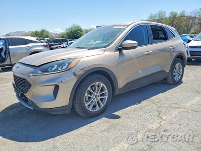 2021 FORD ESCAPE SE 1FMCU0G60MUA93124 - główne zdjęcie licytacji z USA - miniatura