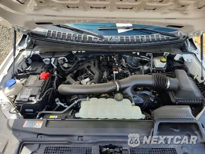 Zdjęcie 12 z 14 samochodu: 2024 FORD EXPEDITION XLT VIN:1FMJU1H84REB10862 - miniatura