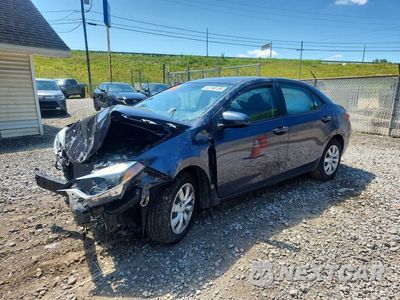 2015 TOYOTA COROLLA LE 2T1BURHE9FC383338 - główne zdjęcie licytacji z USA - miniatura