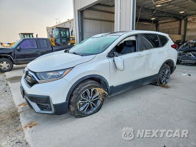 2022 HONDA CR-V EXL 5J6RW2H86NA004576 - główne zdjęcie licytacji z USA - miniatura