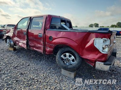 Drugie zdjęcie samochodu z przodu: 2014 FORD F150 SUPERCREW VIN:1FTFW1CF3EKD00450 - miniatura