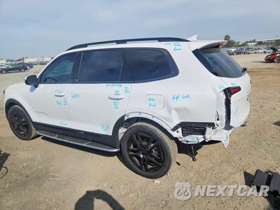 Drugie zdjęcie samochodu z przodu: 2025 KIA TELLURIDE SX X-LINE VIN:5XYP5DGC7SG715250 - miniatura