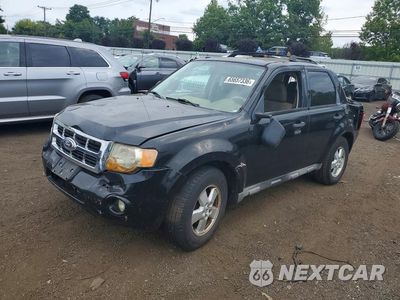 2010 FORD ESCAPE XLT 1FMCU0D78AKA34746 - główne zdjęcie licytacji z USA - miniatura