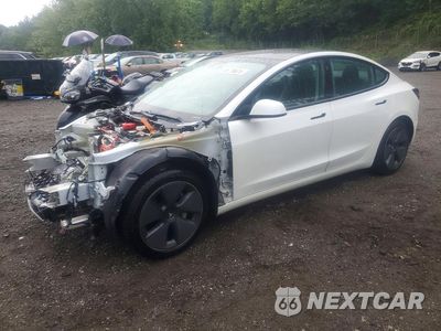 2021 TESLA MODEL 3 5YJ3E1EA9MF851453 - główne zdjęcie licytacji z USA - miniatura