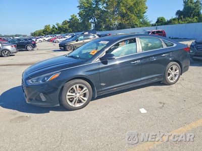 2019 HYUNDAI SONATA SEL 5NPE34AF7KH781886 - główne zdjęcie licytacji z USA - miniatura