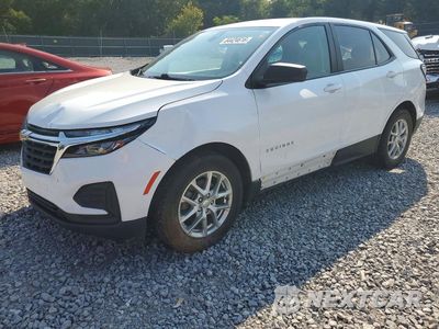 2022 CHEVROLET EQUINOX LS 3GNAXHEVXNS179335 - główne zdjęcie licytacji z USA - miniatura