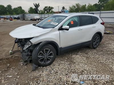 2020 HONDA CR-V EX 5J6RW2H56LL046673 - główne zdjęcie licytacji z USA - miniatura