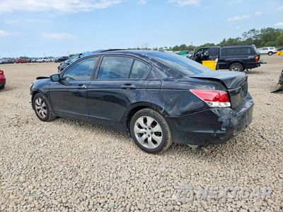 Drugie zdjęcie samochodu z przodu: 2008 HONDA ACCORD EXL VIN:1HGCP36898A028443 - miniatura