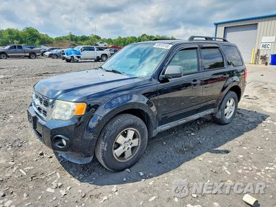 2012 FORD ESCAPE XLT 1FMCU0DG3CKB56952 - główne zdjęcie licytacji z USA - miniatura