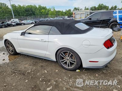 Drugie zdjęcie samochodu z przodu: 2017 FORD MUSTANG VIN:1FATP8UH9H5254477 - miniatura