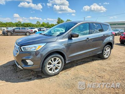 2019 FORD ESCAPE SE 1FMCU9GD9KUB17694 - główne zdjęcie licytacji z USA - miniatura