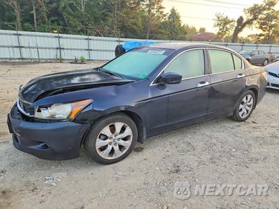 2010 HONDA ACCORD EXL 5KBCP3F85AB010261 - główne zdjęcie licytacji z USA - miniatura