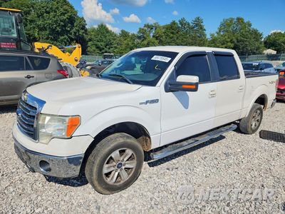 2013 FORD F150 SUPERCREW 1FTFW1ET4DFA80312 - główne zdjęcie licytacji z USA - miniatura
