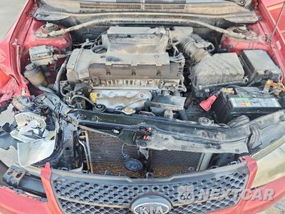 Zdjęcie 11 z 12 samochodu: 2009 KIA SPECTRA LX VIN:KNAFE221495026224 - miniatura