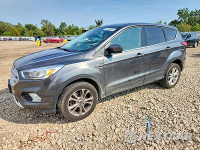 2019 FORD ESCAPE SE 1FMCU9GD8KUC33923 - główne zdjęcie licytacji z USA - miniatura