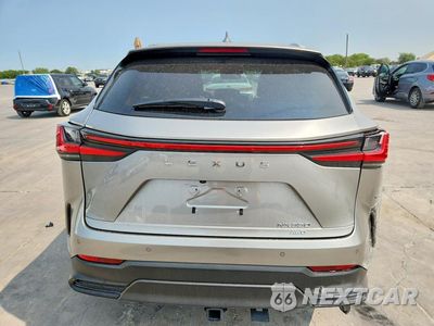 Zdjęcie 6 z 13 samochodu: 2025 LEXUS NX 350 LUXURY VIN:2T2HGCEZ3SC070751 - miniatura