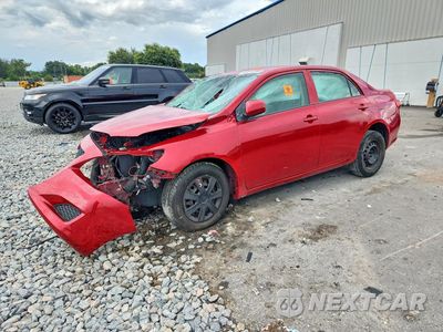 2009 TOYOTA COROLLA LE JTDBL40E19J038511 - główne zdjęcie licytacji z USA - miniatura