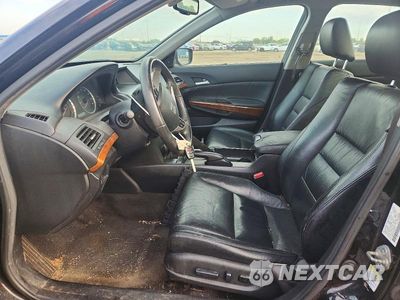 Zdjęcie 7 z 12 samochodu: 2011 HONDA ACCORD EXL VIN:1HGCP3F81BA028847 - miniatura
