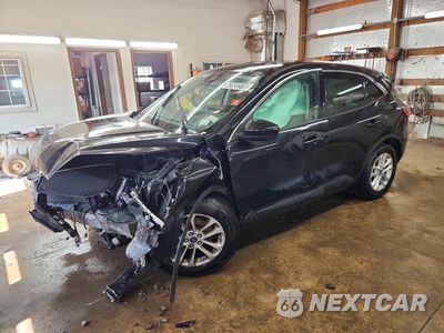 2021 FORD ESCAPE SE 1FMCU9G60MUA48852 - główne zdjęcie licytacji z USA - miniatura