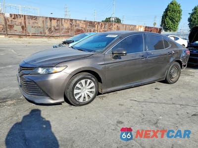 2019 TOYOTA CAMRY LE 4T1B31HK4KU511911 - główne zdjęcie licytacji z USA - miniatura