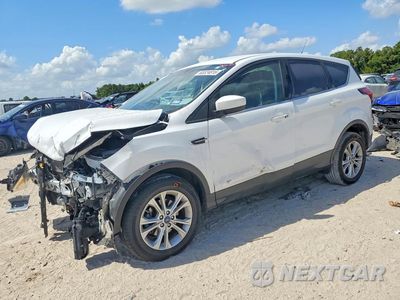 2019 FORD ESCAPE SE 1FMCU0GD1KUC35444 - główne zdjęcie licytacji z USA - miniatura