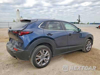 Trzecie zdjęcie samochodu z tyłu: 2021 MAZDA CX-30 PREFERRED VIN:3MVDMBCL4MM202364 - miniatura