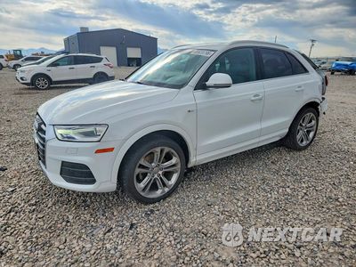 2017 AUDI Q3 PREMIUM PLUS WA1JCCFS0HR010759 - główne zdjęcie licytacji z USA - miniatura