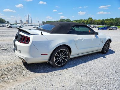 Trzecie zdjęcie samochodu z tyłu: 2014 FORD MUSTANG GT VIN:1ZVBP8FFXE5308251 - miniatura