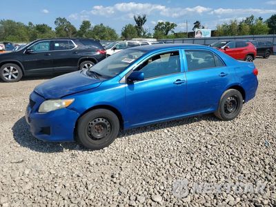 2010 TOYOTA COROLLA LE 2T1BU4EE9AC372744 - główne zdjęcie licytacji z USA - miniatura