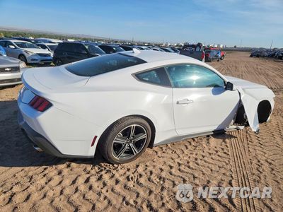 Trzecie zdjęcie samochodu z tyłu: 2024 FORD MUSTANG VIN:1FA6P8TH1R5107523 - miniatura